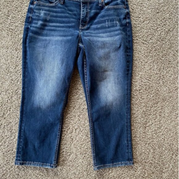 BKE Jeans Size 30 Gabby Curvy Fit High Rise Stretch Blue Denim Pants - Picture 2 of 4